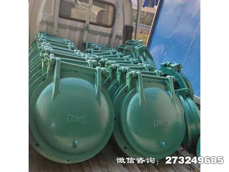 缙云县污水管玻璃钢拍门