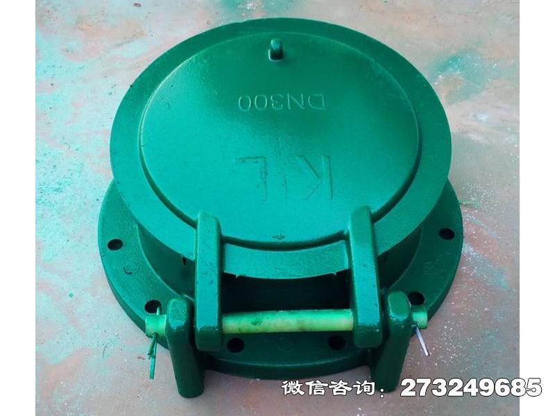 安庆dn300复合材料拍门